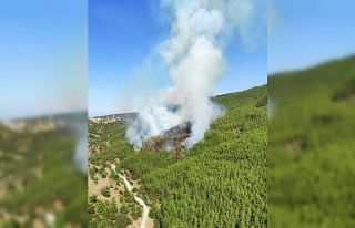 Kavaklıdere yangınına takviye helikopter ve uçak...