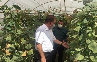 Kaymakam Türköz’den Türkiye’nin en kalabalık...