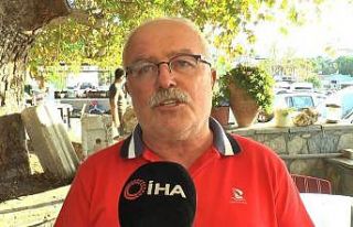Kaza yapan köpeği veterinere götürürken ceza...