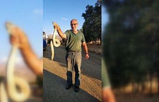 Kendisine saldıran ölümcül zehirli yılanı boğazından...