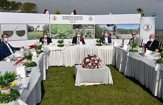 Kenevir endüstrisi OMÜ’de masaya yatırıldı