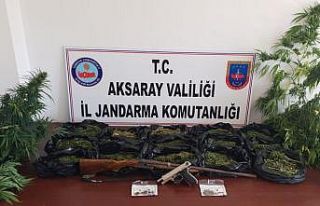 Kenevir ve esrar satıcılarına jandarma darbesi