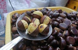 Kestane tezgahlara çıktı, kilosu 100 lira