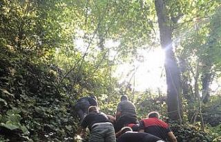 Kestane toplarken uçurumdan 25 metreden aşağıya...