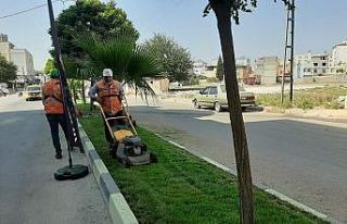 Kilis’te caddelere son bahar bakımı