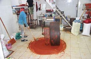 Kilis’te salça ile toz biber zamanı