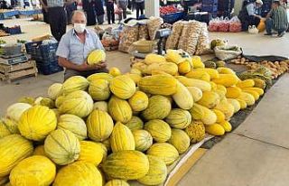 Kiraladığı arazide 70 ton kavun üretimi gerçekleştirdi