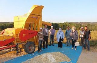 Kırklareli’de kuru fasulye hasadı