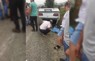 Köpeğe çarpmamak için ani manevra yapınca aracıyla...