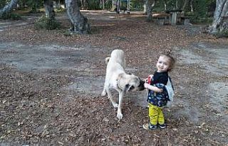 Köpekle bebeğin oyunu tebessüm ettirdi