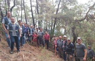 Köylüler seferber oldu, ormanda çıkan yangın...