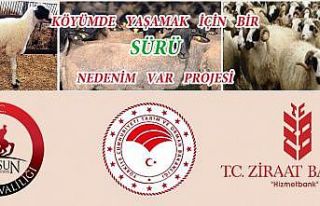 "Köyümde Yaşamak İçin Bir Sürü Nedenim...