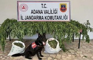 Kozan’da uyuşturucu operasyonu