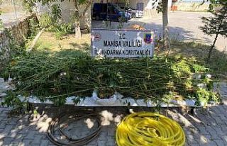 Kula’da uyuşturucu operasyonu