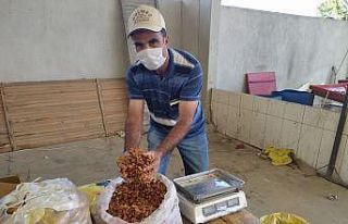 Kurutulmuş elmanın fiyatı 5,5 TL’ye yükseldi