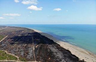 Kuş Cenneti’nde çıkan yangının yaraları sarılıyor