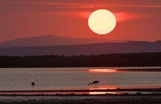 Kuş Cenneti’nde kartpostallık görüntüler