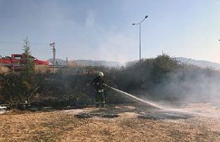 Kuş tarlayı yakıyordu