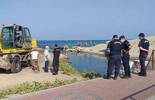 Kuşadası Kocagöl’de balık ölümleriyle ilgili...