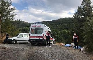 Kuşburnu toplayan anne ve kızı yıldırım düşmesi...