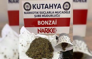 Kütahya’da iki şüpheli şahsın üzerinde bonzai...