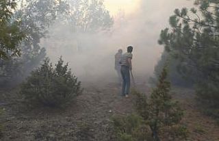 Kütahya’da orman yangını