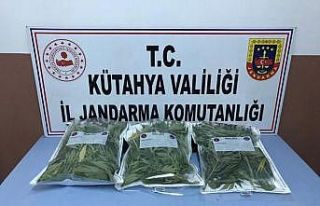 Kütahya’da uyuşturucu operasyonu
