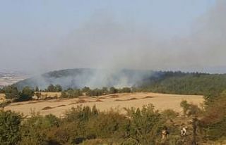 Kütahya’daki orman yangınında 1 hektarlık alan...