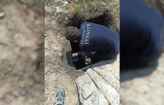 Kuyuya düşen köpek kurtarıldı