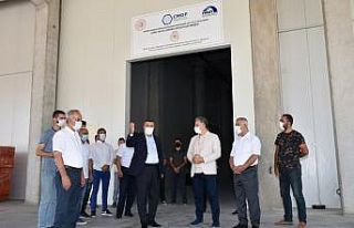 Lisanslı Kuru Kayısı Deposu, kuru kayısı alımını...