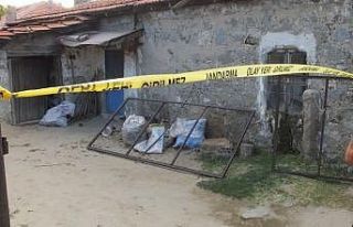 Mal paylaşımı cinayetinde zanlılar tutuklandı