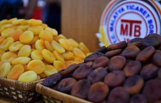 Malatya kayısısına TMO dopingi