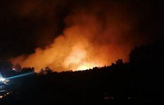 Manavgat’ta orman yangını