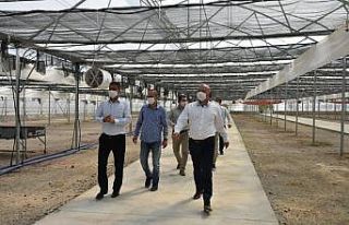 Manisa Büyükşehir Belediyesi üreterek tasarruf...