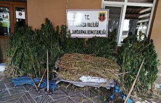 Manisa’da uyuşturucu operasyonu