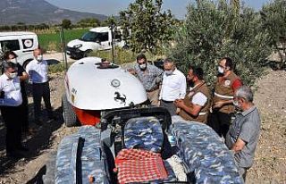 Manisa’da zeytin sineği ile mücadelede yeni yöntem