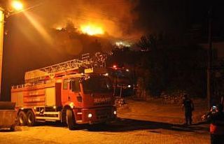 Manisa’daki orman yangını kontrol altına alındı
