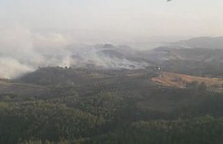 Manisa’daki orman yangınına karadan müdahale...