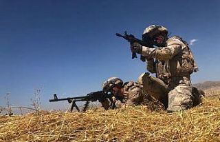 Mardin’de terör örgütü işbirlikçilerine şafak...