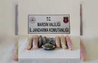 Mardin’de uyuşturucu operasyonu