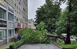 Maysak tayfunu Rusya’yı vurdu