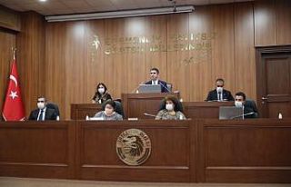 Meclis kararı ile Kartal’da havai fişek kullanımı...