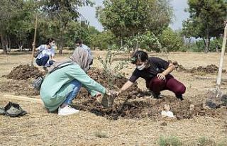Mersin Büyükşehir Belediyesi, üniversiteyi kazanan...