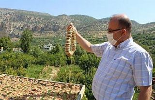 Mersin’de incir altın yılını yaşıyor