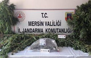 Mersin’de uyuşturucu operasyonu