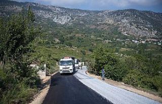 Mersinli üreticinin şeftalisi İç Anadolu’ya...