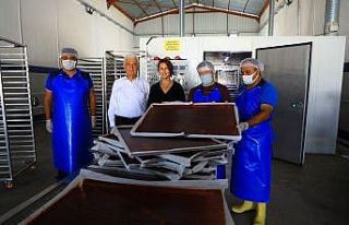 Meyve-sebze kurutma tesisi ile üretici kazanıyor