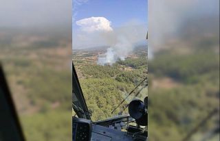 Milas’ta orman yangını