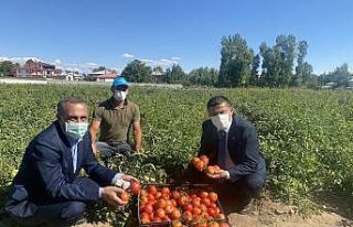 Milletvekili Arvas çiftçileri tarlada ziyaret etti