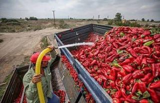 Milletvekili Esgin’den kapya biber üreticisine...
